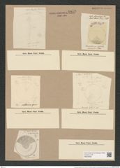 Coscinodiscus pellucidus Grun. (de-Toni-Nr.: Genus 202, Species 5101) Zeichnungen Sammlung Grunow Nr. 8859 (NHMW-BOT-W0378493)